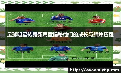 MK体育官方网站