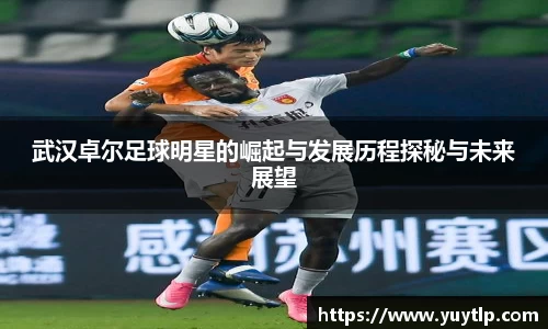 武汉卓尔足球明星的崛起与发展历程探秘与未来展望